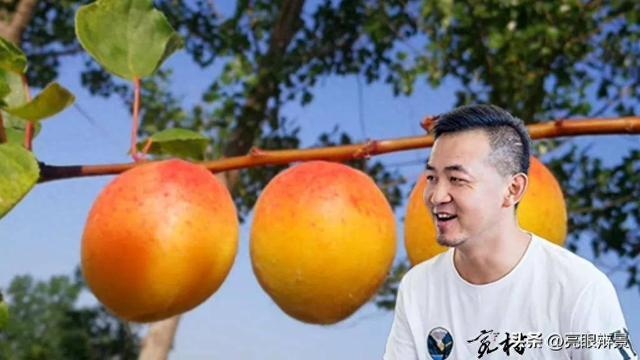 乡村文旅总留不住人？别只做观光打卡，抓准“体验” 才是破局关键