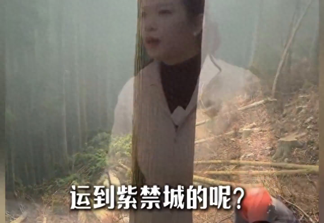 故宫是谁建的？为什么故宫没有一根钢筋却能600年不倒呢？