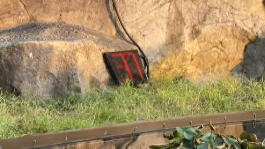 网红景点限时打卡：在秩序与温度间寻找文旅最优解