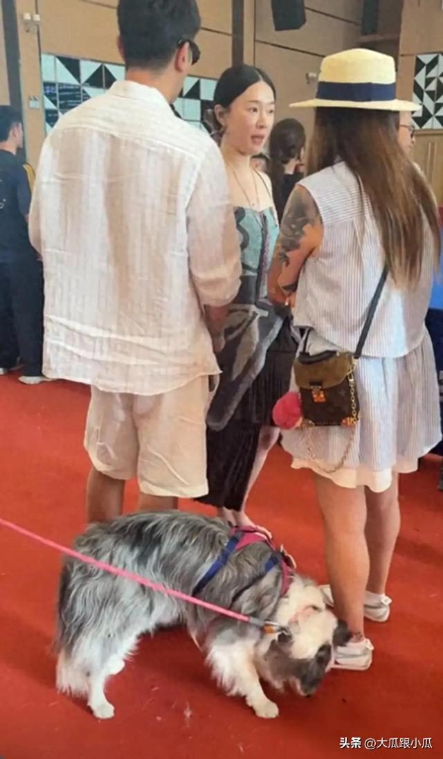杜江夫妇带狗狗比赛，霍思燕穿抹胸裙，网友称：胸快到肚子了
