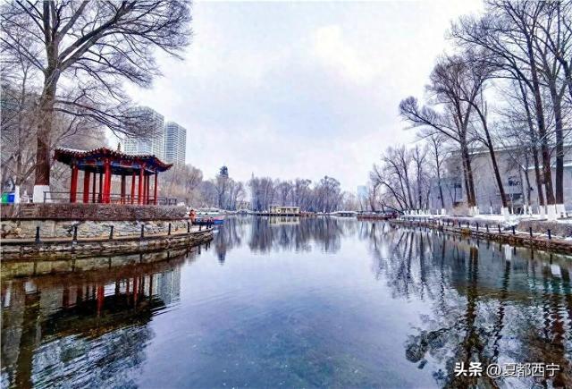 西宁的冬春，藏不住了！
