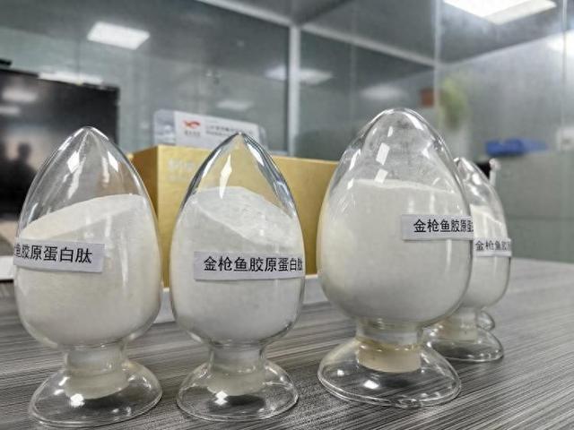 蓝润生物金枪鱼胶原蛋白肽 2026年荣成蓝润金枪鱼胶原蛋白固体饮料价格