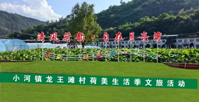8月4日，旬阳市小河镇荷美生活季文旅活动开启，等你赴约~