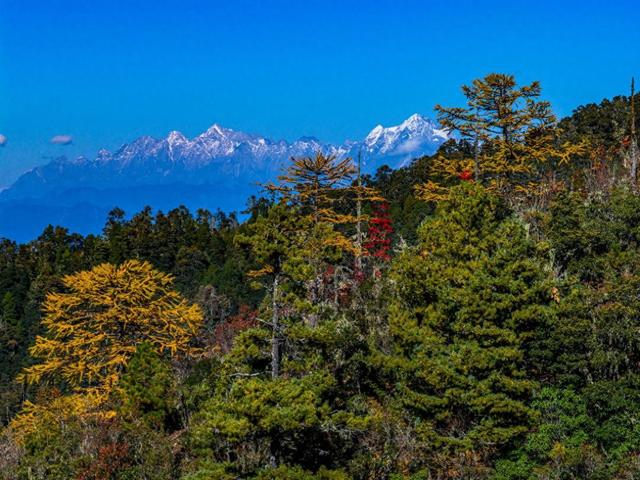 云南丽江：老君山九十九龙潭秋色如诗