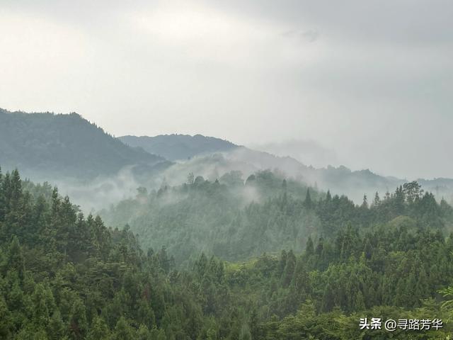 逃离城市的炎热，在邛崃的南宝山蹉跎时光