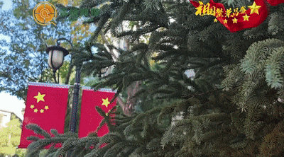 呼和浩特，红了！