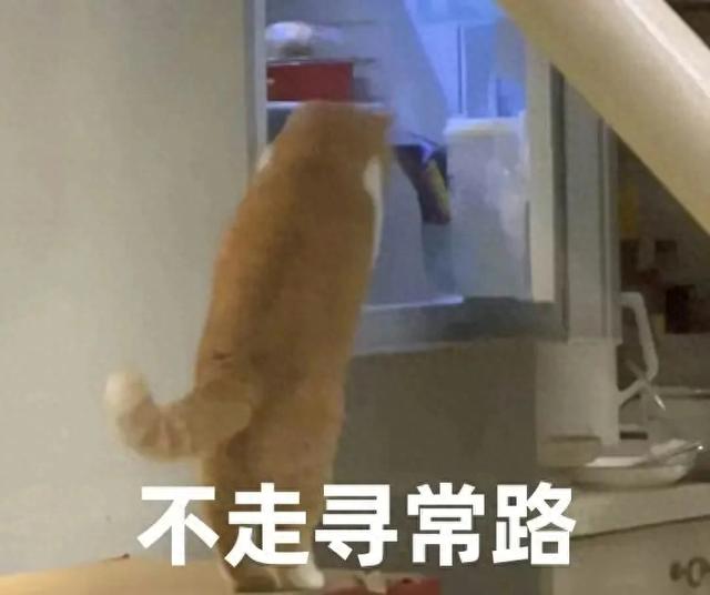 我的世界末影珍珠怎么获得（用了整整14年终于有人找到了我的世界的结局）