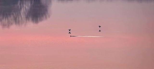 北京朝霞：水墨的留白里，藏着整片天空的色彩