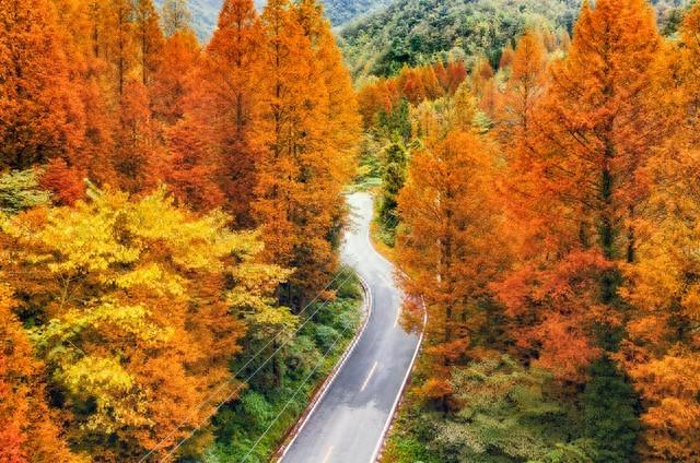 四川真糊涂！这十景点在马克龙访川前，法国人早爱上了她快宣传！