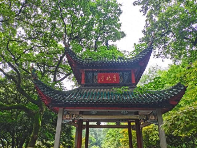 国内这5大城市名山，你去过几个？有你的家乡吗？