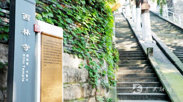 夏日炎炎，来东兴大千园一键解锁清凉模式
