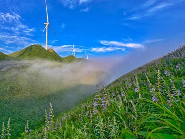 贵州金沙玉簪花云海景区22℃的云端避暑胜地