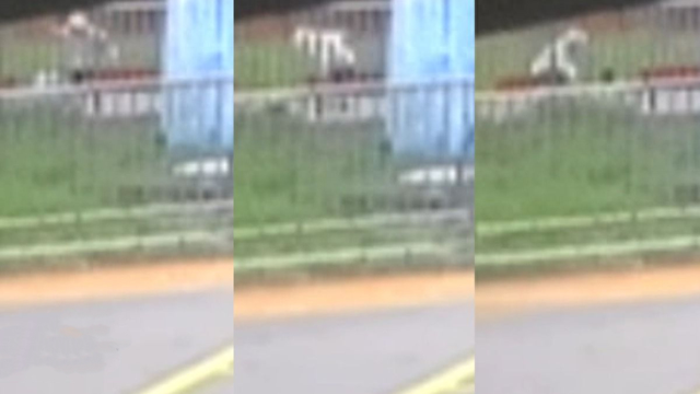 “44秒31刀”，台媒曝台中残忍情杀案：17岁少年当众杀害前女友，已被逮捕