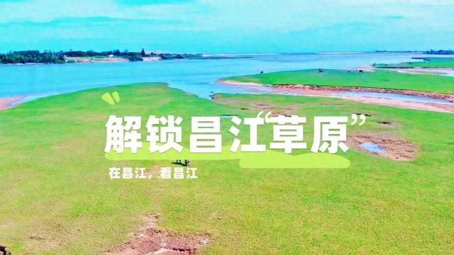 错峰出游 | 避开人潮，承包昌江这片“草原”
