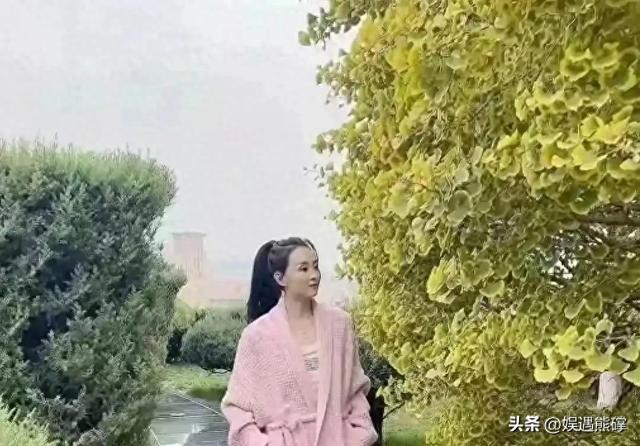 王艳太有钱了，穿睡衣在自家花园散步，背后就是紫禁城！