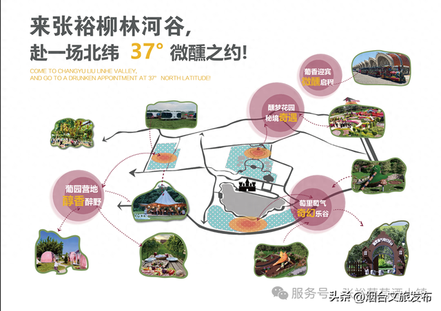 【乐游烟台】室外免费啦！烟台避暑家庭游圣地——张裕柳林河谷景区焕新升级！