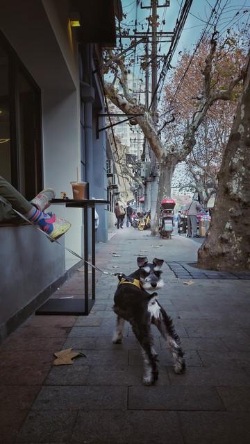 我是台湾人，刚从天津跟北京回来，说说对这两座城市的印象