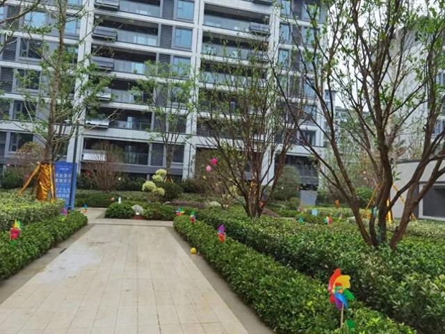 房子“收购大潮”来了？已确定，2026年开始，2类房产或统统收购