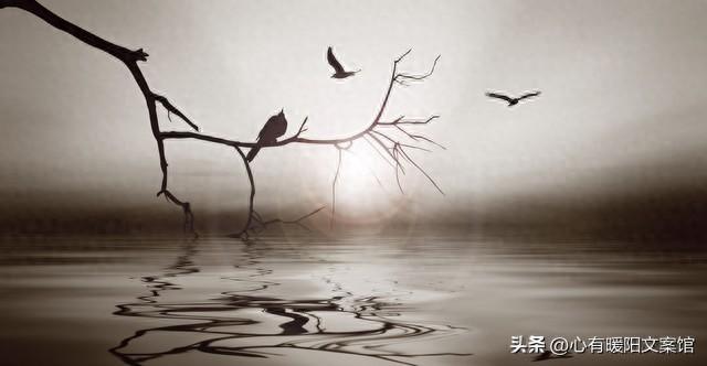 离人冢攻略睚眦（不容易被备注掉的网名）