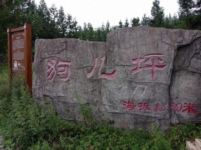 重庆开州狗儿坪，能否追赶湖北苏马荡？