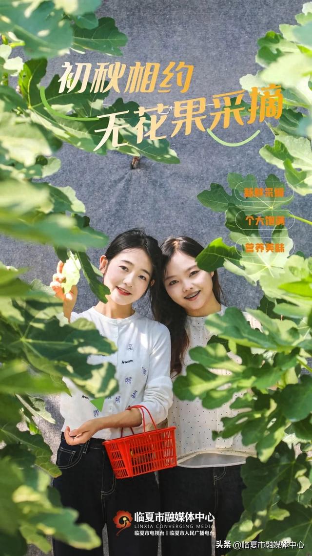 秋天的第一口甜，何必远方？临夏市大庄村的“养颜果”甜到心坎里～