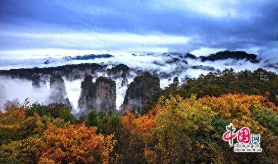 张家界武陵源：层林尽染秋意酣赴约赏景正当时