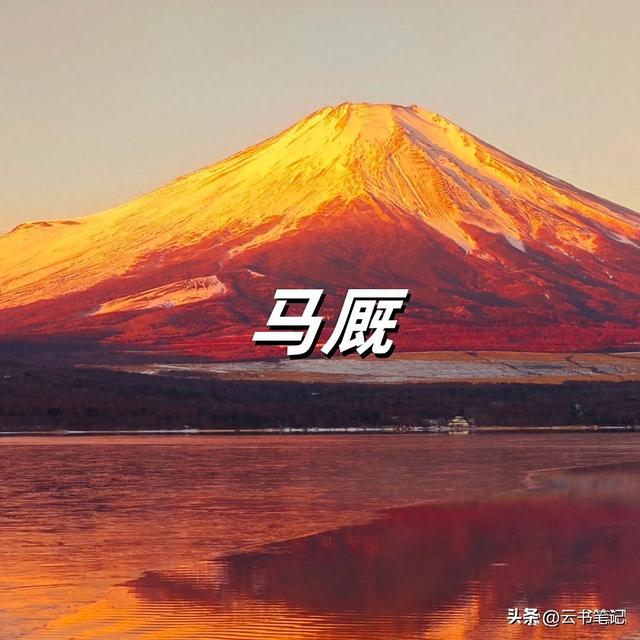 资讯 第330页