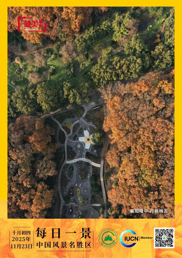 每日一景 | 襄阳隆中 丹枫映古