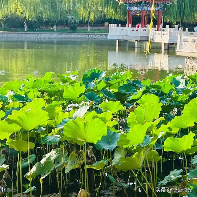 没看错吧？头条上有103万的粉丝，是如何做到的