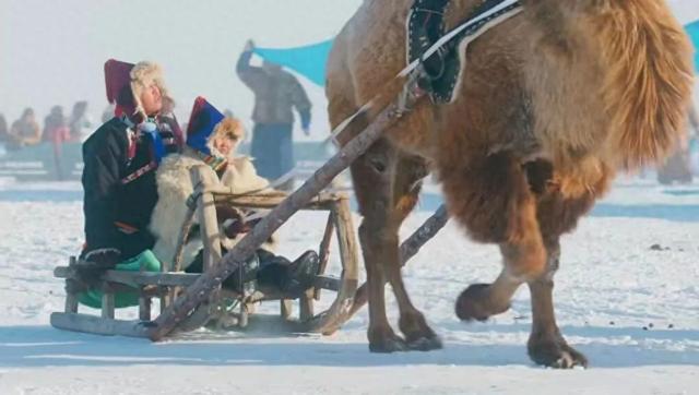 陈巴尔虎旗邀您共赴一场冰雪奇缘的浪漫之约