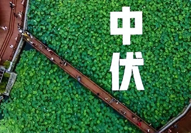 十年一遇的短中伏要来了！老祖宗早说了：这天气怕是要赖到秋天！