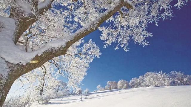 白山冰雪旅游全面升级
