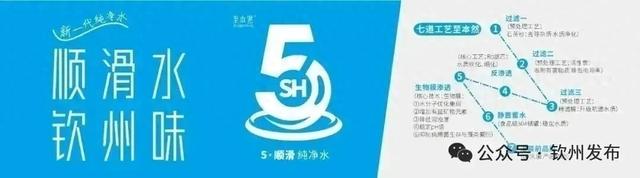 来钦州，“鸥”遇冬日限定浪漫！