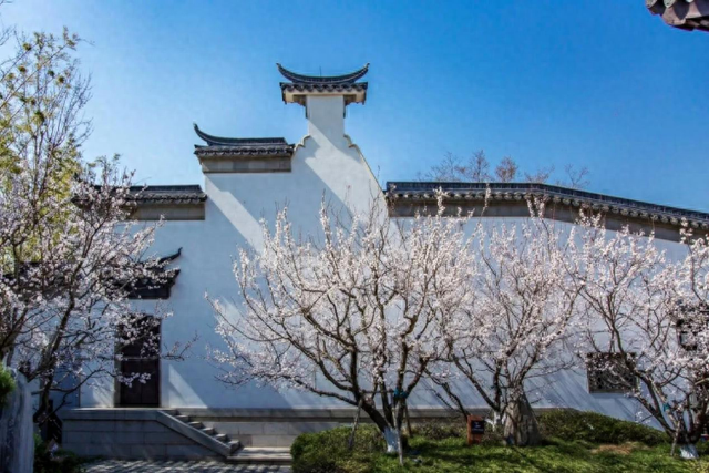 半价、免票！“三八”国际劳动妇女节，江苏十三城“美好福利”大放送