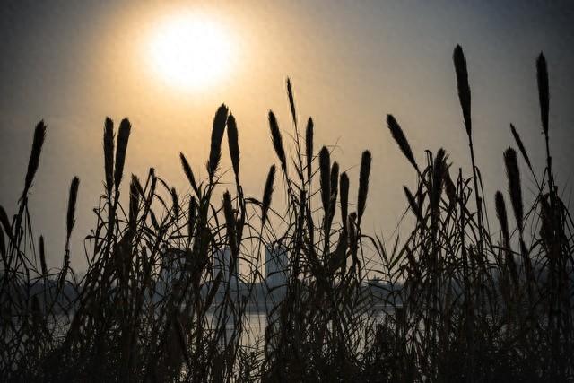 关于赞美祖国的话语和词语（10首登峰造极的爱国词）