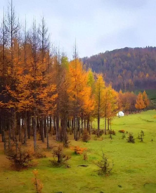 平凉四景点入选甘肃文旅新地标