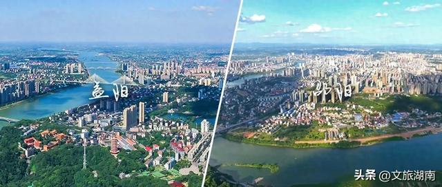 赛场外,两个“阳哥”各有乾坤