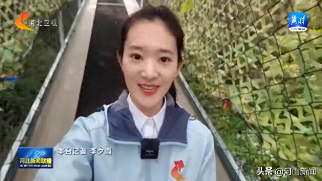 多彩假日 乐享河北丨赏秋景 品非遗 享丰收！河北文旅市场活力足