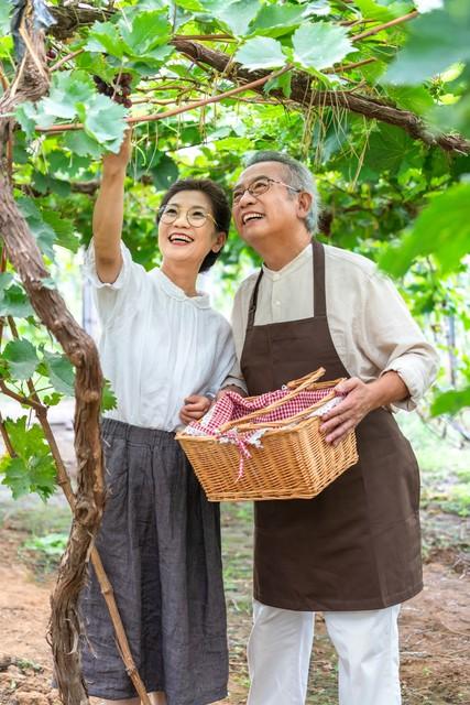 两性关系：60岁的阿姨大实话：男人过了65，只剩一个“用处”