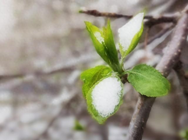 今冬最冷时间表最新公布，最冷在啥时候？2026年春节到底冷不冷？