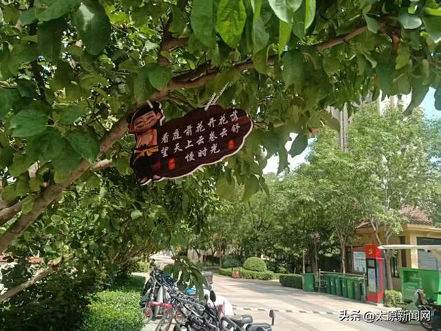 树上挂诗牌 美景添意境