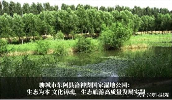 东阿县洛神湖国家湿地公园入选山东省生态旅游发展典型案例!