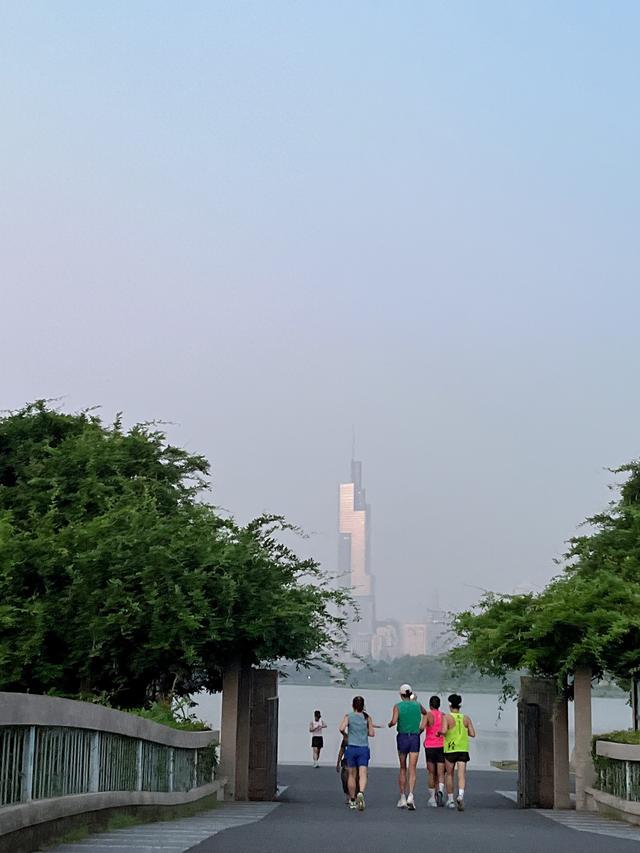 晨观玄武湖