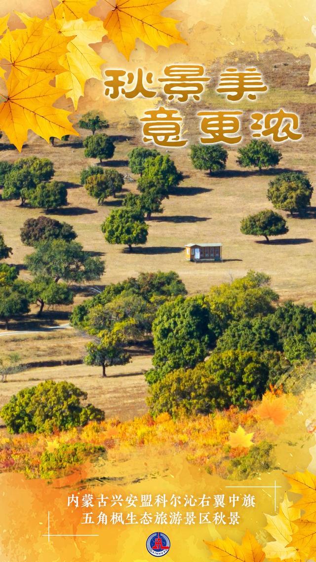 （图表·海报）秋景美 意更浓（1）