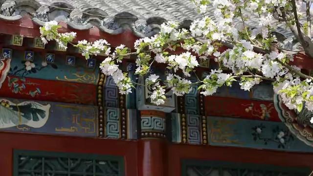 在儿子家带娃7年，孙子上学我拿60万买养老房，儿媳却让我不要走