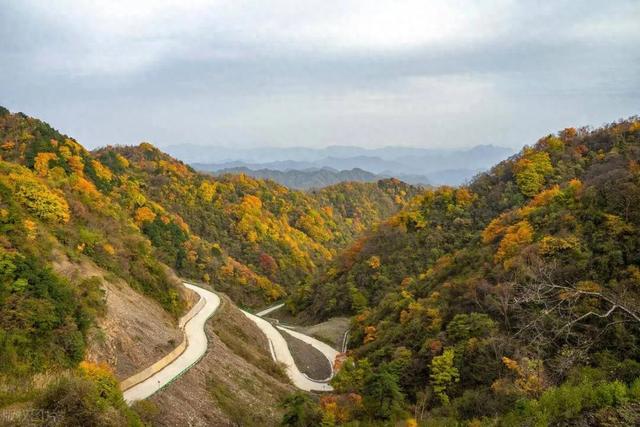 秦岭秋日童话：自驾高江路，邂逅4000年银杏与绝美红叶长廊