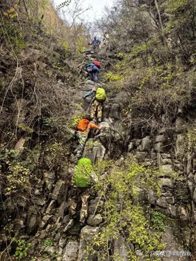 爬草双（外一首）｜ 罗锋