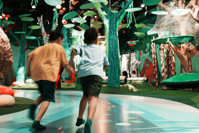 新加坡遛娃界卷起来了！4600㎡巨无霸室内雨林，能爬树能钻洞