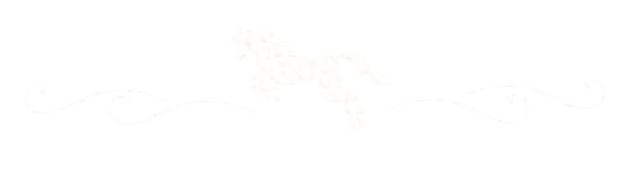 南非暖冬・野奢大年｜与天乐同行，在非洲暖阳里解锁新春新境