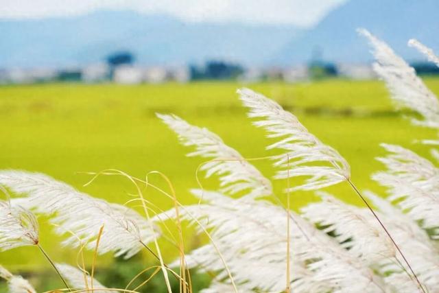 “十一”大理怎么玩？J人已经把攻略给大家整理好了